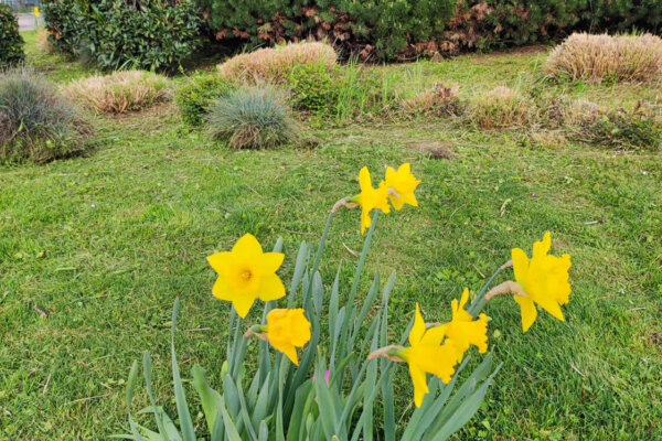 IMG_20250407_171756